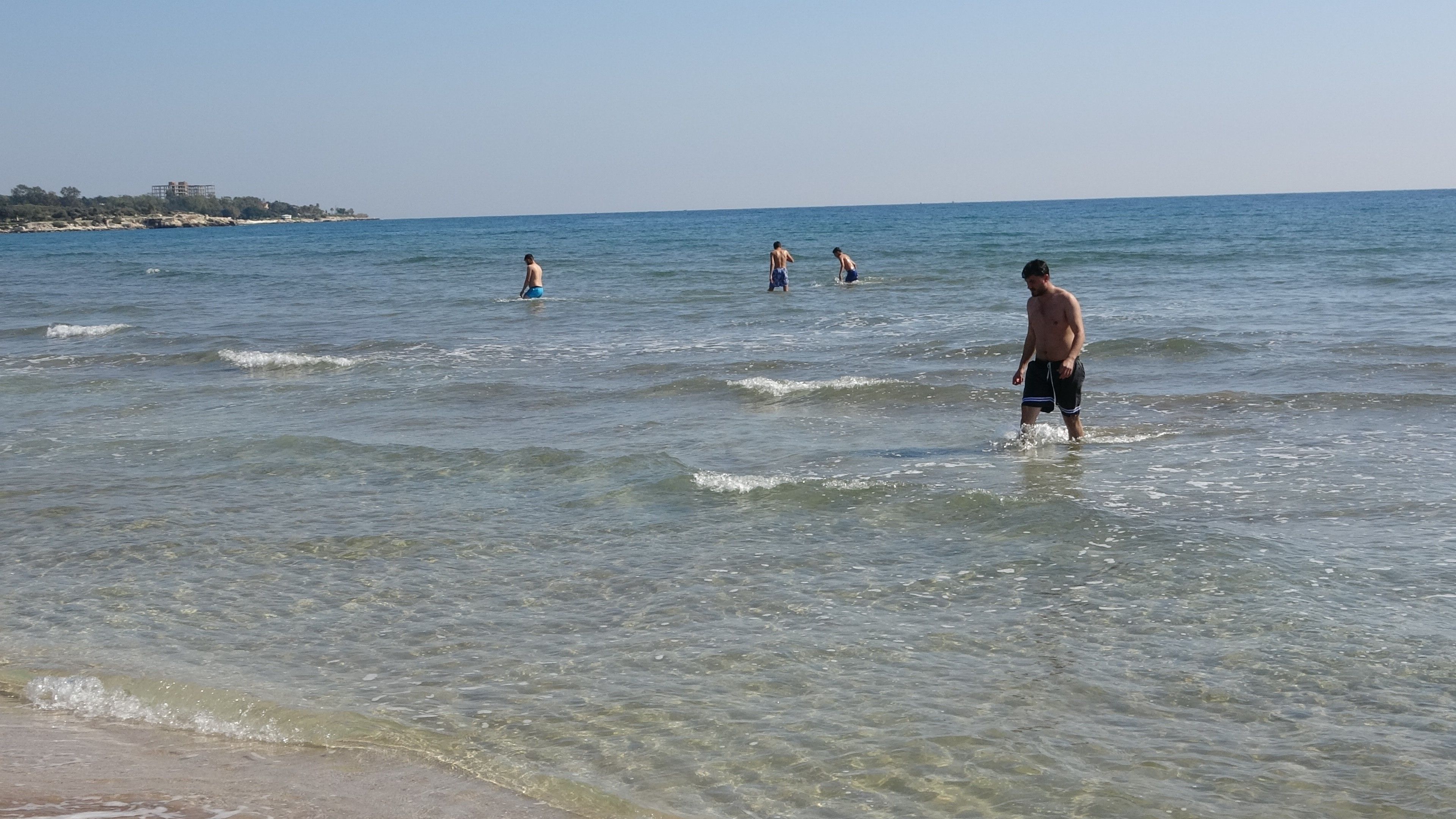 Yüzlerce denizanası Mersin kıyılarını istila etti - 1. Resim