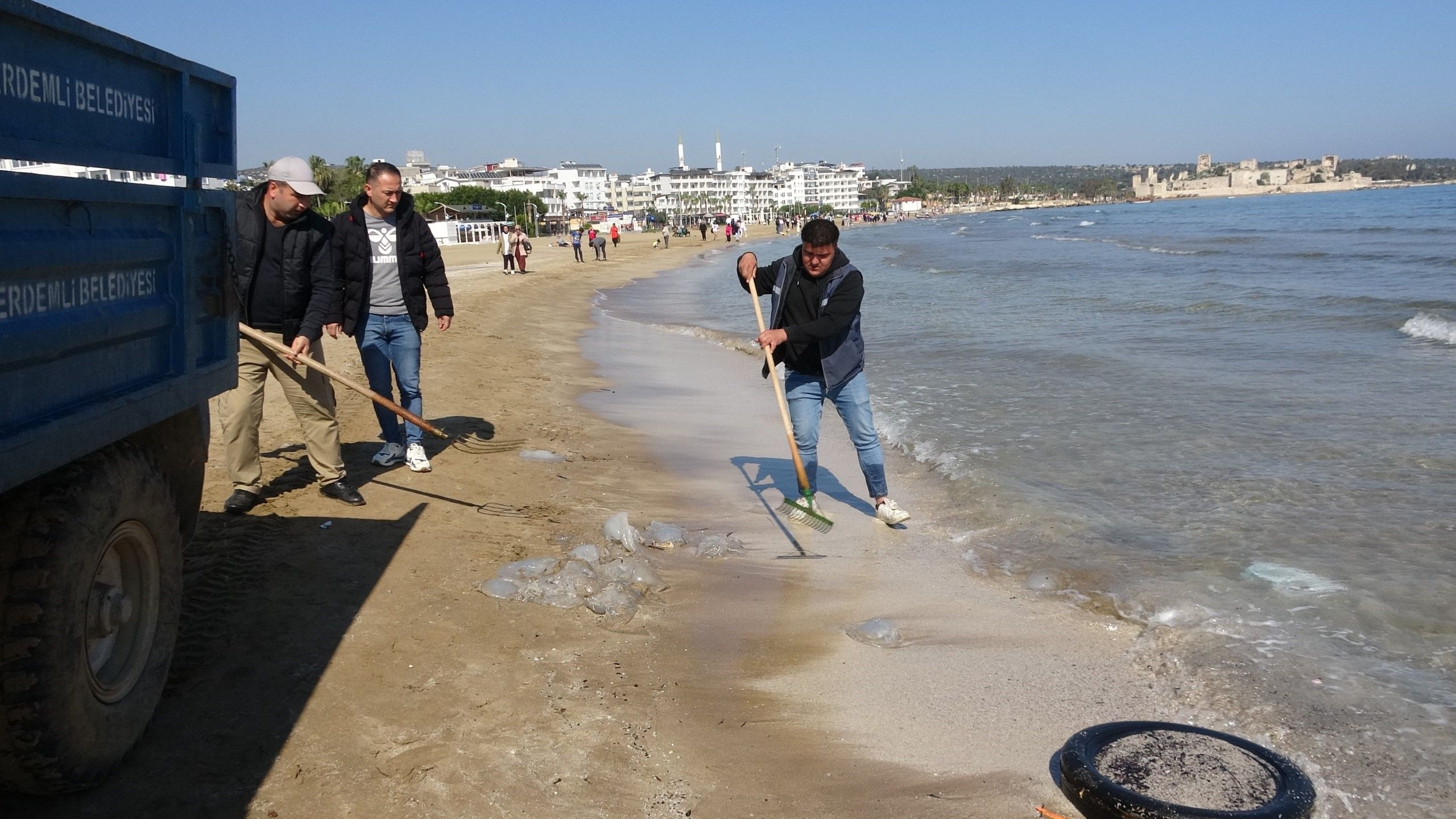 Mersin sahili denizanaları bastı: Sakın dokunmayın, hepsi zehirli Mersin sahili denizanaları bastı: Sakın dokunmayın, hepsi zehirli - 1. Resim