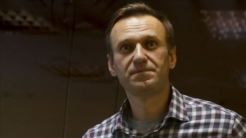 Avrupa Konseyi'nden 'Navalny' çağrısı - 2. Resim