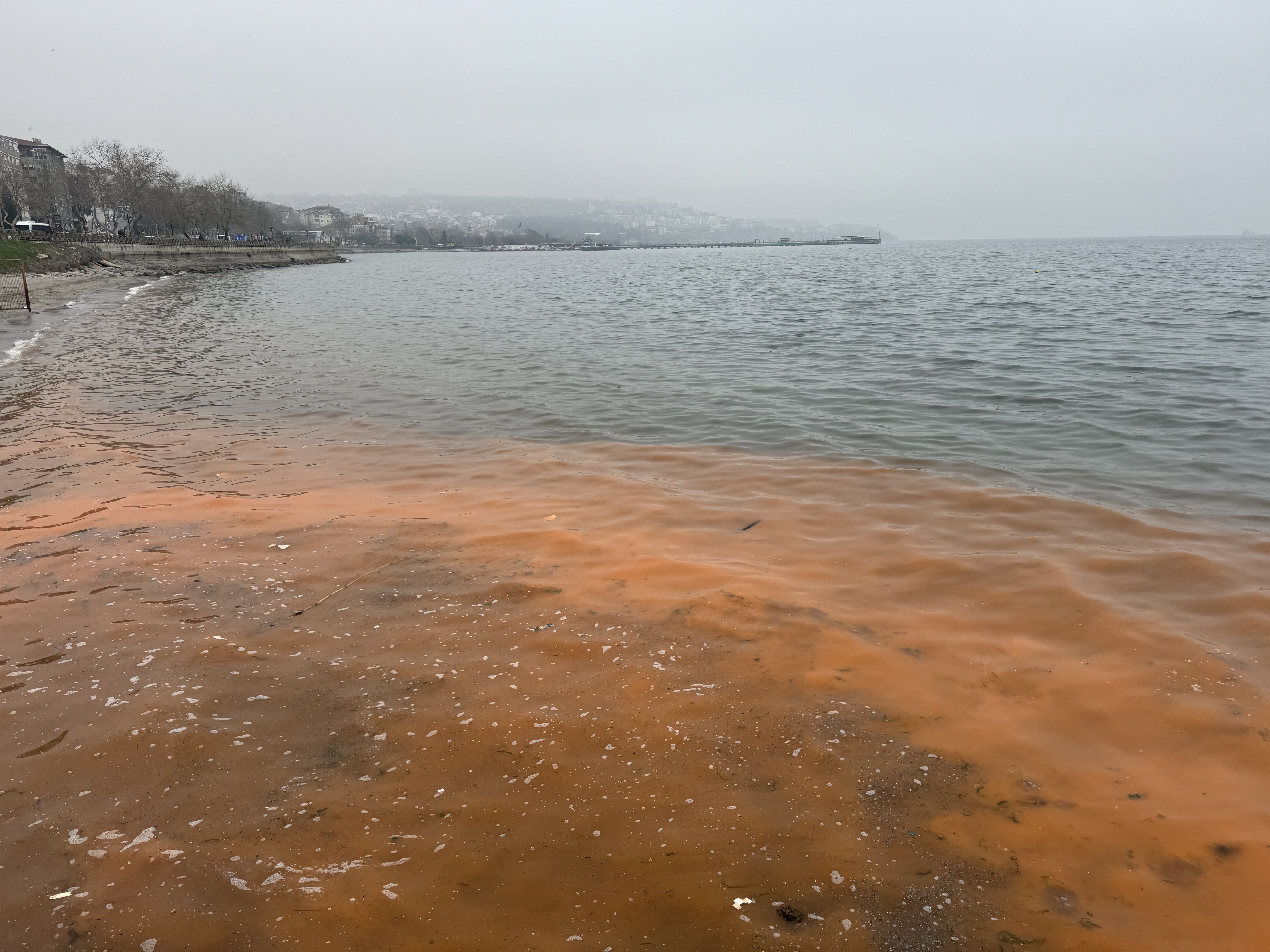 Denizin rengi değişti! Uzmanlar anlattı, tek bir sebebi var - 2. Resim