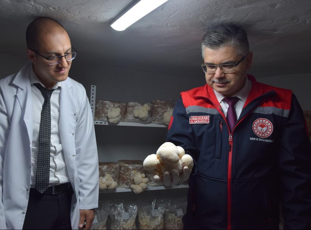 Evinin bodrumunda üretiyor, paraya para demiyor! Sinir sistemine bire bir... - 2. Resim