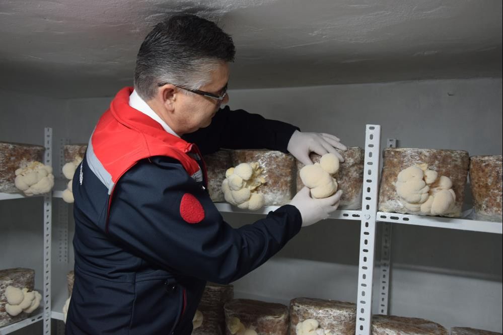 Evinin bodrumunda üretiyor, paraya para demiyor! Sinir sistemine bire bir... - 6. Resim