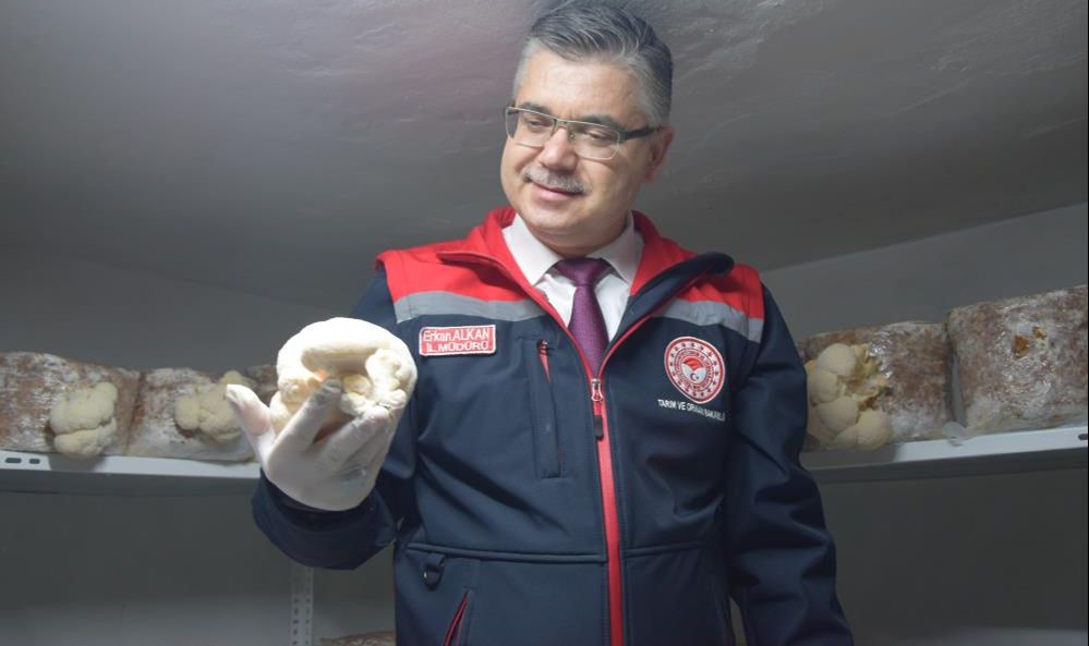 Evinin bodrumunda üretiyor, paraya para demiyor! Sinir sistemine bire bir... - 4. Resim