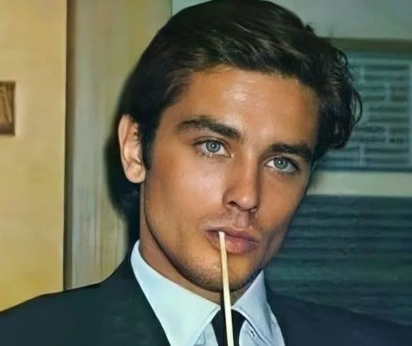 Ünlü aktör Alain Delon'un evinde 72 silah ve binlerce mermi ele geçirildi Ünlü aktör Alain Delon2un evinde 72 silah ve binlerce mermi ele geçirildi - 3. Resim