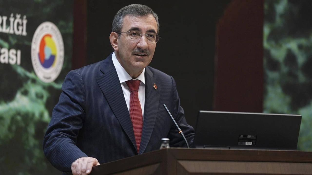 Cumhurbaşkanı Yardımcısı Yılmaz enflasyonda düşüş için tarih verdi Cumhurbaşkanı Yardımcısı Yılmaz enflasyonda düşüş için tarih verdi - 1. Resim