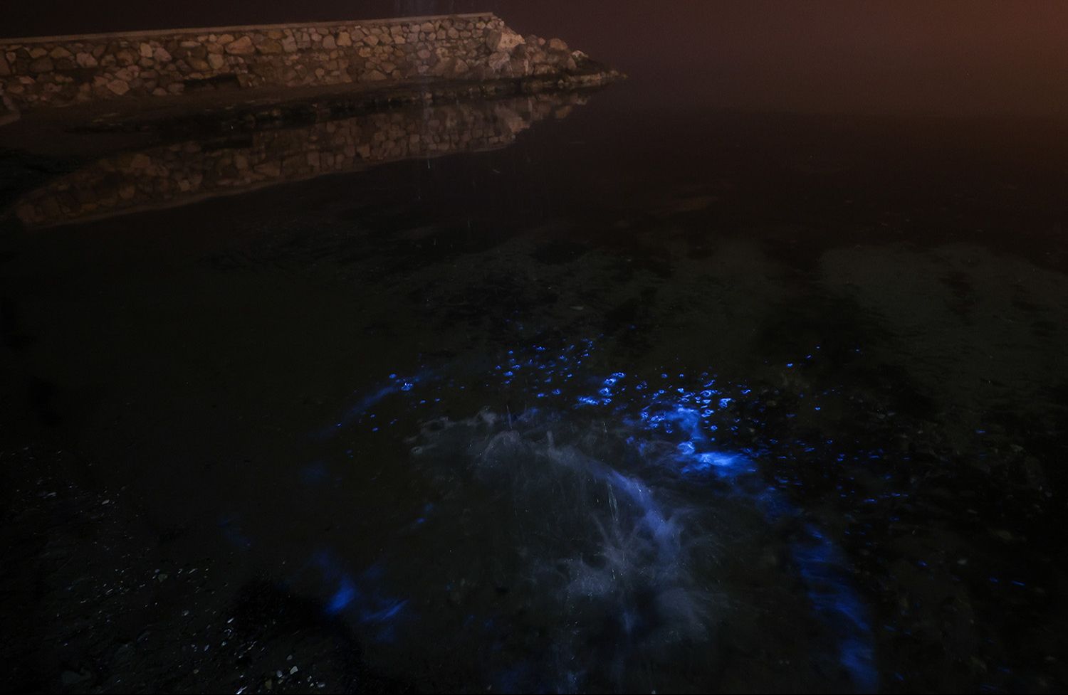 Fotoğraflar Bursa'dan geldi, denizin rengi şaşkına çevirdi! Mavi renkli parlamalar ortaya çıktı Fotoğraflar Bursa'dan geldi, denizin rengi şaşkına çevirdi! Mavi renkli parlamalar ortaya çıktı - 3. Resim