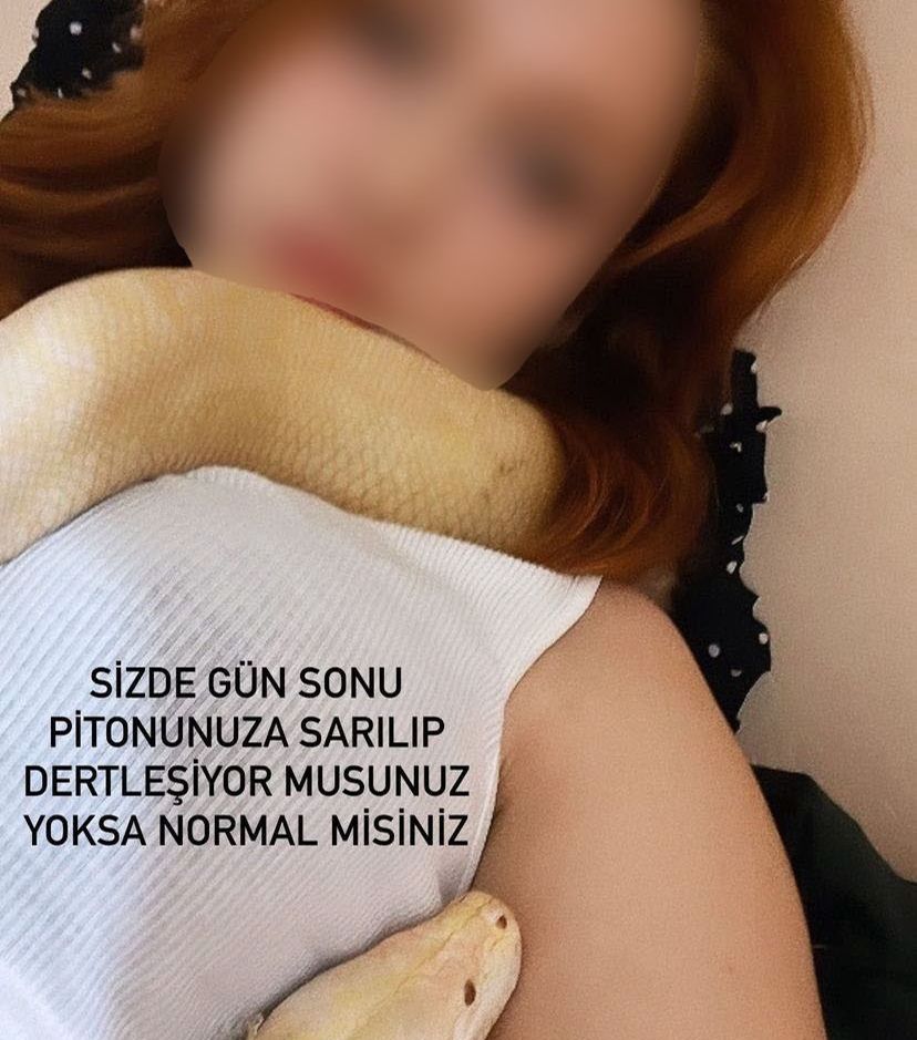 Antalya'da piton alarmı! 1,5 metrelik yılan bu kez apartman dairesinden çıktı - 2. Resim