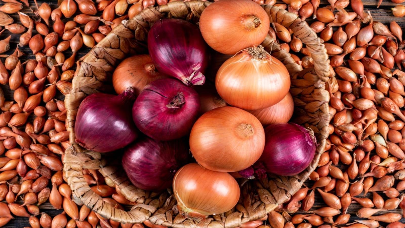 Kokusundan dolayı yemiyoruz... Faydalarını duyunca çiğ çiğ yutacaksınız - 1. Resim