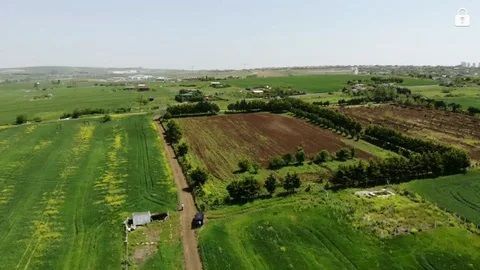 Herkesin merak ettiği soru: Tarla almak ne kadar mantıklı? Herkesin merak ettiği soru: Tarla almak ne kadar mantıklı? - 3. Resim