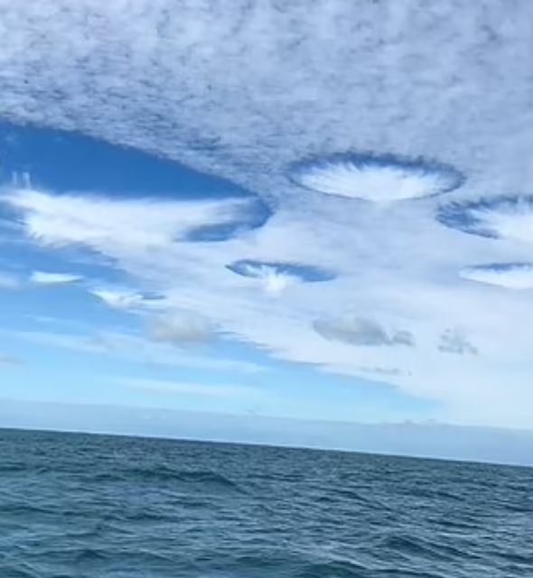 NASA'nın uydusu keşfetti! Gökyüzünde 'ürkütücü delikler' - 2. Resim