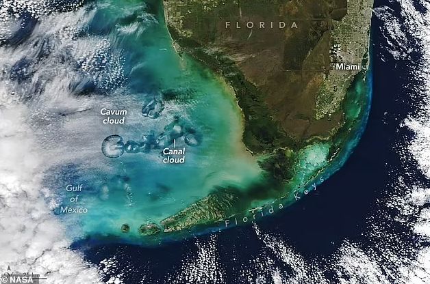 NASA'nın uydusu keşfetti! Gökyüzünde 'ürkütücü delikler' - 1. Resim