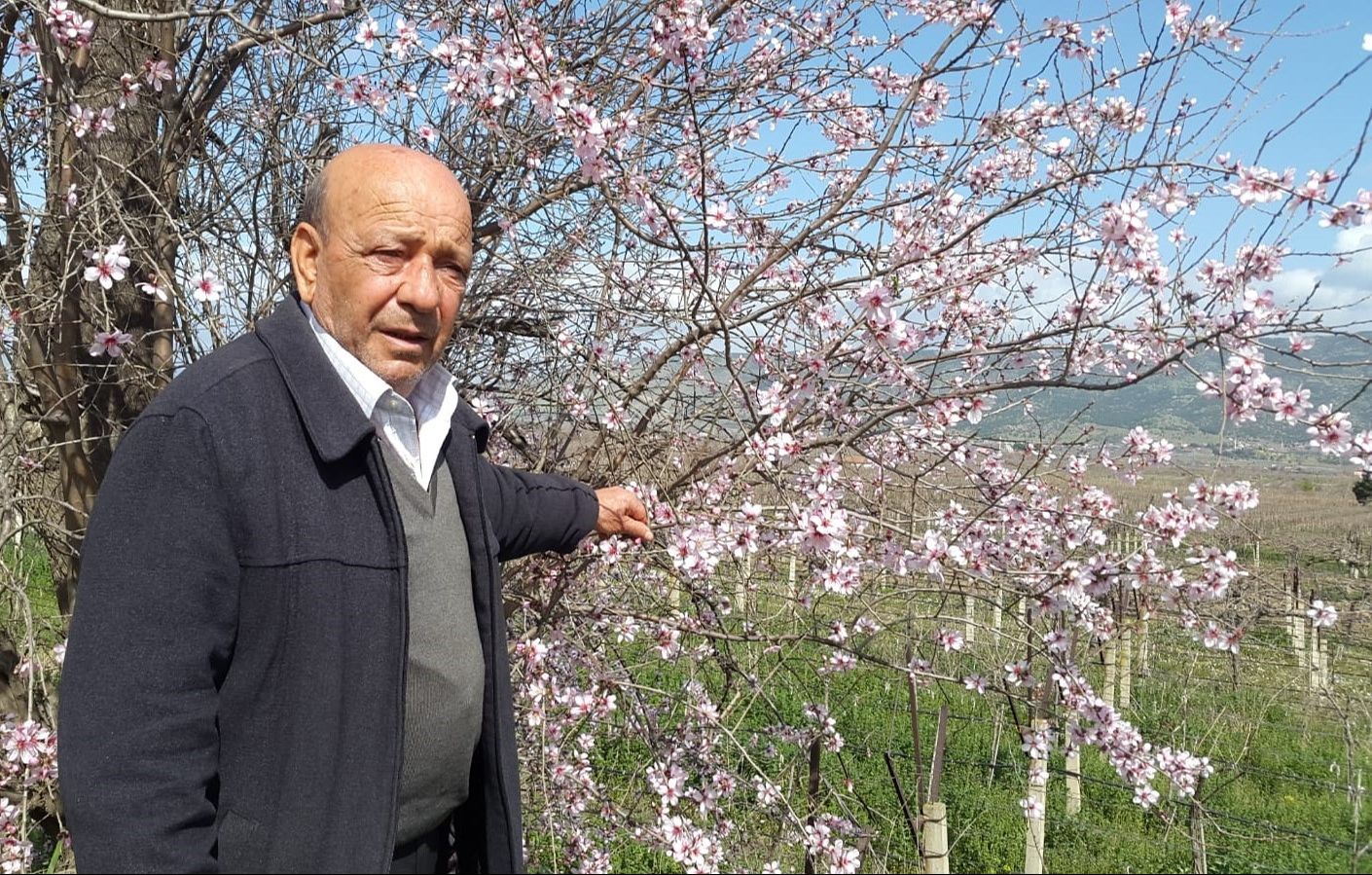 Kışa hasret kalan Manisa'ya bahar geldi! Bu durum bir kesimi endişelendirdi - 2. Resim