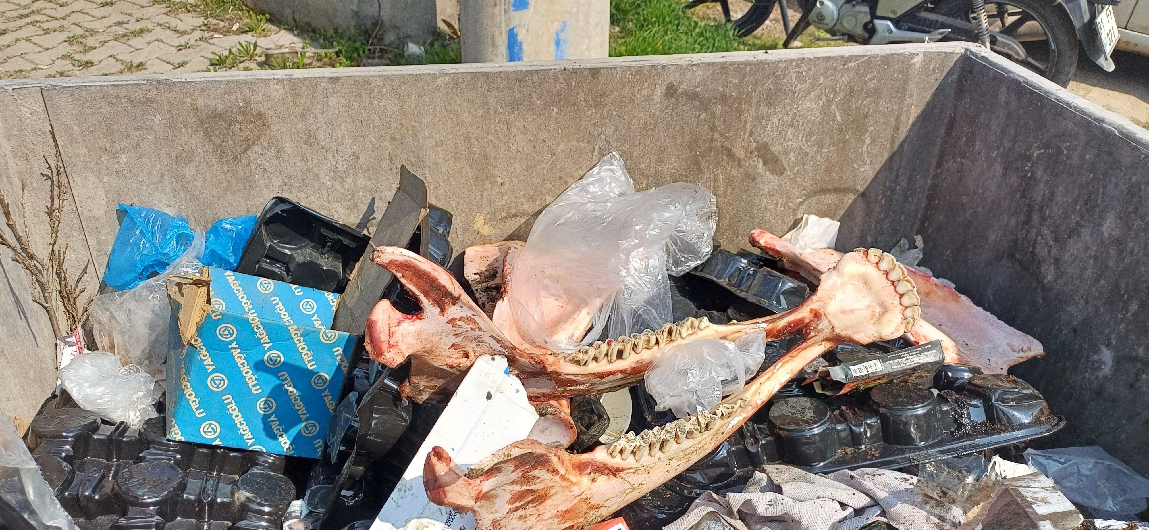 At kesen şahıs yakayı ele verdi! İş yerinde yüzlerce kişiye yedirmiş olabilir At kesen şahıs yakayı ele verdi! İş yerinde yüzlerce kişiye yedirmiş olabilir - 2. Resim