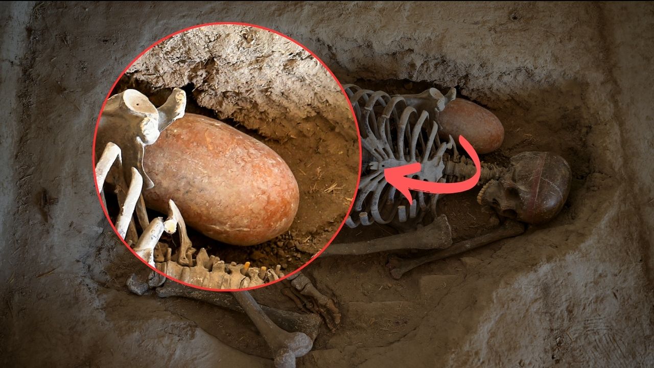 Dünyanın en eski ekmeği Konya'dan çıktı! 8 bin 600 yıllık ekmek Çatalhöyük'te üretilmiş - 6. Resim