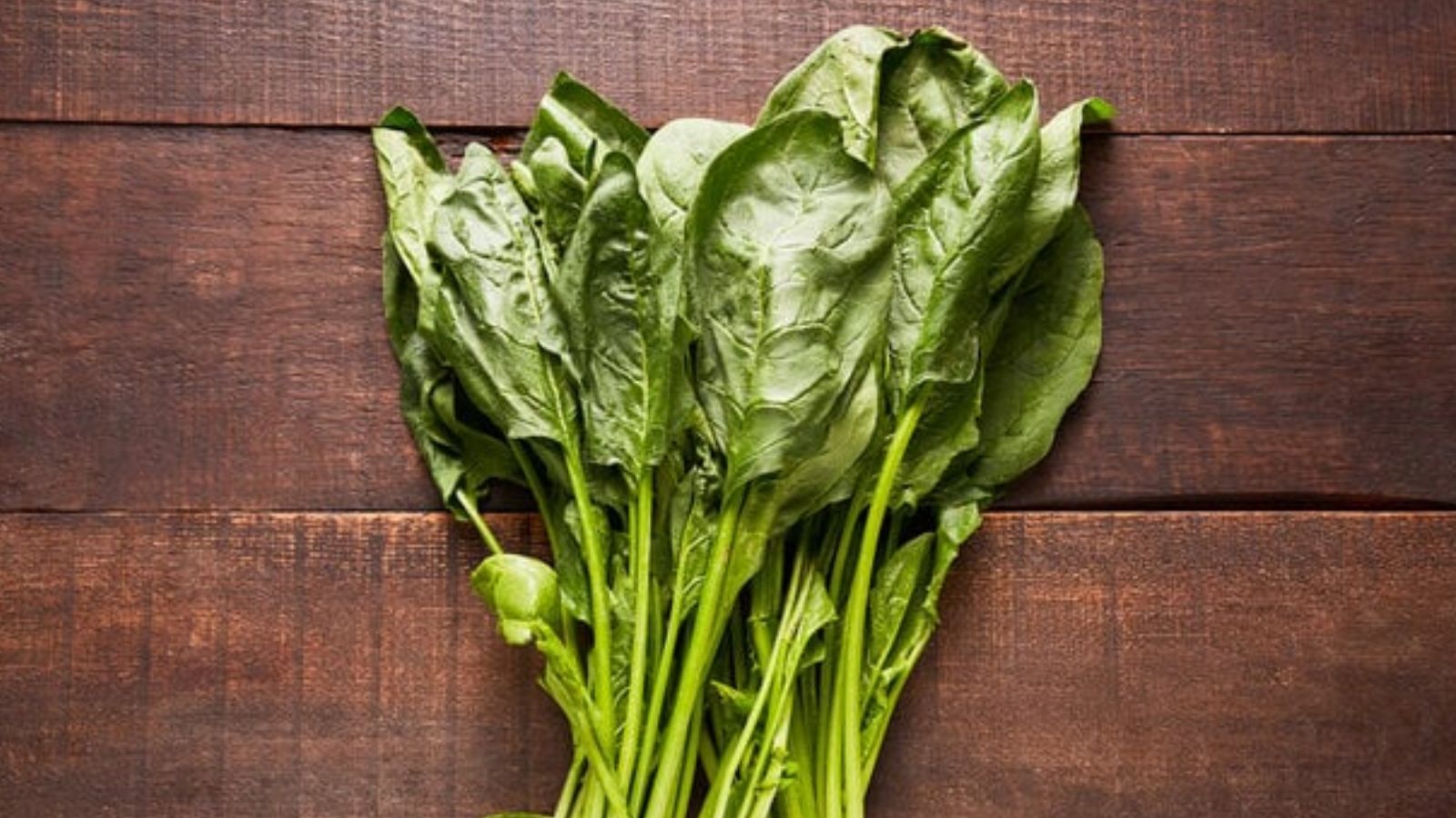 Tadından dolayı yemiyoruz ama faydasını duyunca sofranızdan eksik etmeyeceksiniz! İşte ıspanağın faydaları Tadından dolayı yemiyoruz ama faydasını duyunca sofranızdan eksik etmeyeceksiniz! İşte ıspanağın faydaları - 1. Resim