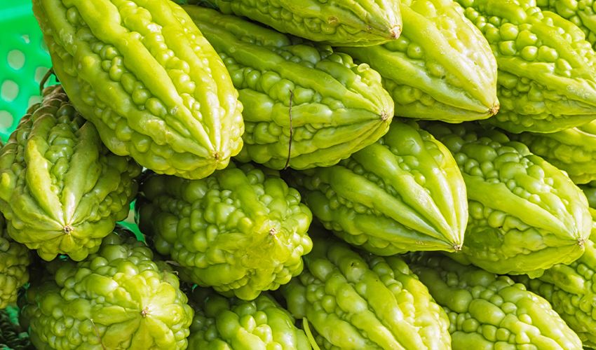 Tek başına ecza deposu gibi! Türkiye’de yeterince ilgi görmüyor ama kabızlığı geçiriyor, diyabeti ortadan kaldırıyor - 1. Resim