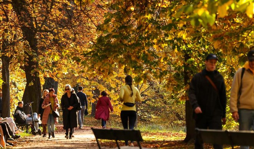 Araştırma: Günde 2 bin 200 adım, erken ölüm riskini azaltıyor Araştırma: Günde 2 bin 200 adım, erken ölüm riskini azaltıyor - 1. Resim