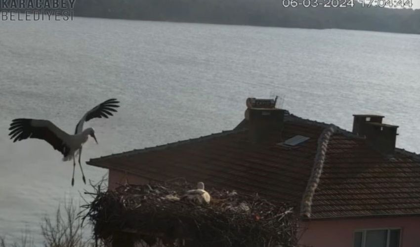 Merakla beklenen buluşma: Yaren Leylek, eşi Nazlı’ya kavuştu - 2. Resim