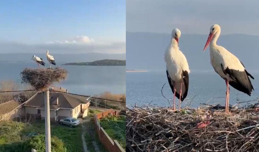 Merakla beklenen buluşma: Yaren Leylek, eşi Nazlı’ya kavuştu - 1. Resim