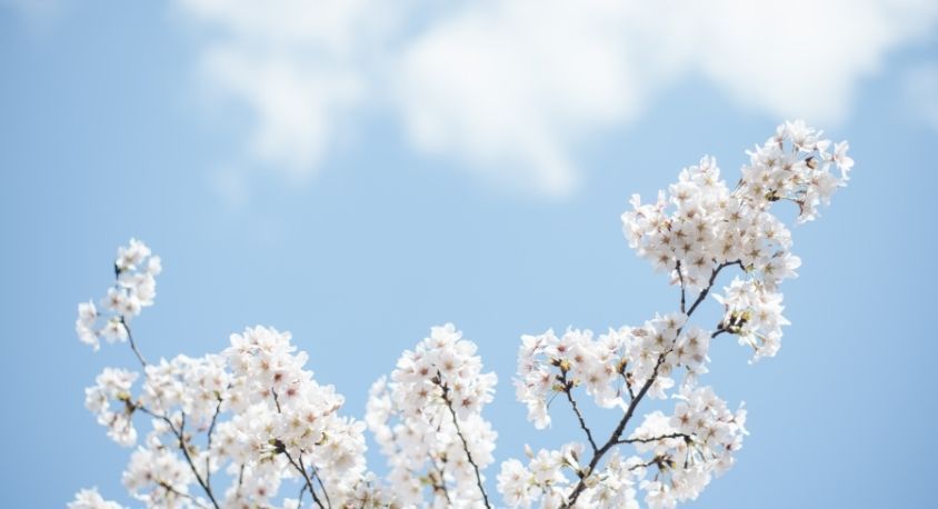 Üçüncü cemre 6 Mart'ta toprağa düştü 2024 Cemre düşme takvimi - 2. Resim