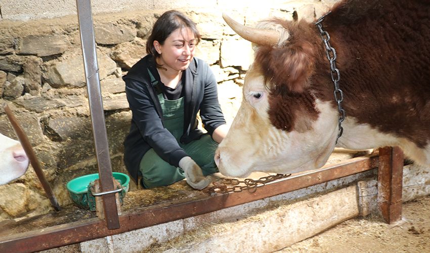 Yöneticiliği bırakıp hayvancılığa başladı! ‘Bu işten çok memnunum’ - 3. Resim
