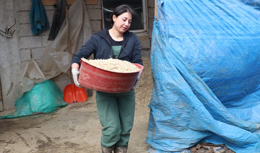 Yöneticiliği bırakıp hayvancılığa başladı! ‘Bu işten çok memnunum’ - 1. Resim