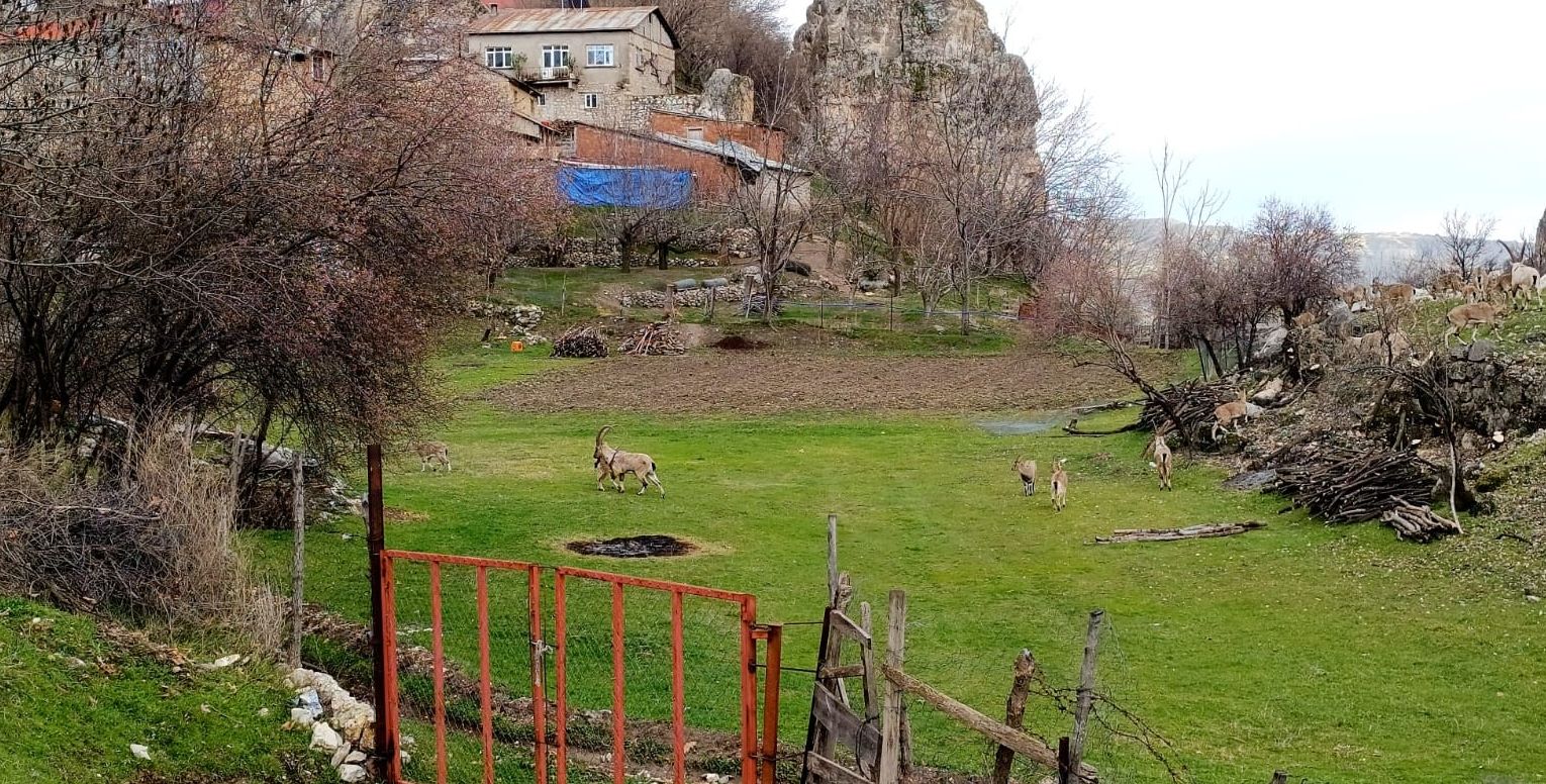 Bir şehir, iki farklı mevsim! Araları sadece 125 kilometre - 2. Resim