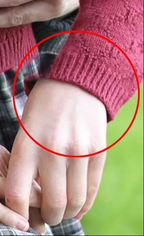 Gündeme damga vuran fotoğraf sonrası Kate Middleton'dan özür geldi - 3. Resim