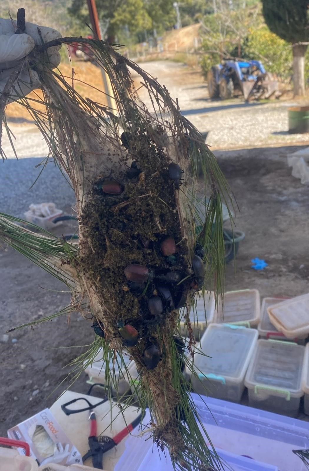Antalya ormanlarını artık 'terminat&ouml;r'ler koruyacak - 3. Resim