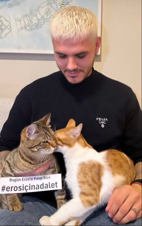 Galatasaraylı Mauro Icardi'den tekmelenerek öldürülen kedi Eros için adalet çağrısı 'Bugün Eros'a yarın bize' - 2. Resim