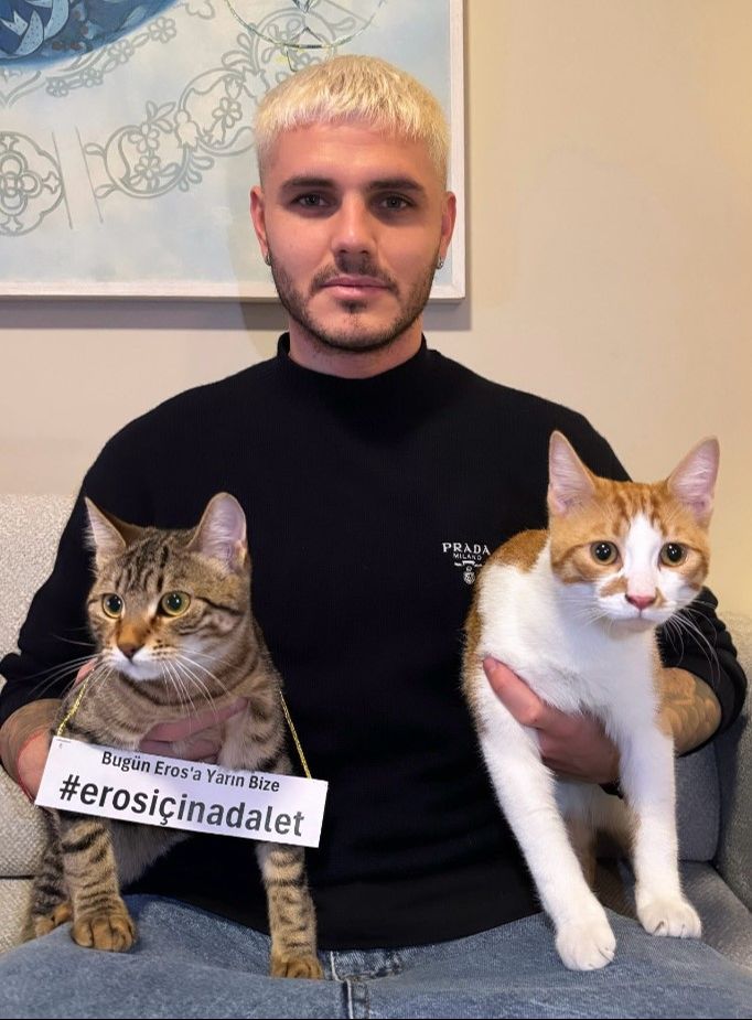 Galatasaraylı Mauro Icardi'den tekmelenerek öldürülen kedi Eros için adalet çağrısı 'Bugün Eros'a yarın bize' - 1. Resim