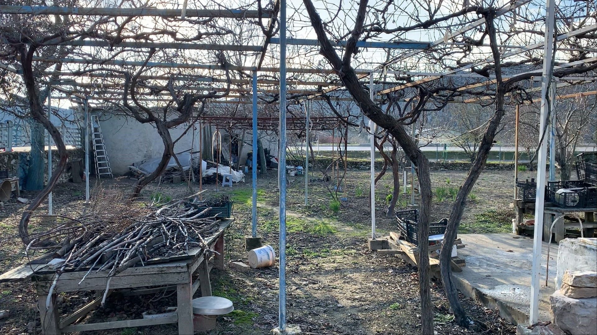 Milyonluk teklifleri elinin tersiyle itti, arazisini jandarmaya bağışladı - 4. Resim