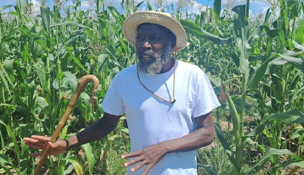 Sahte peygamberin evinden 251 çocuk çıktı! Bahçesinde isimsiz mezarlar... Peygamberliğini ilan eden adamın evinden 251 çocuk çıktı! Bahçesinde isimsiz mezarlar... - 1. Resim