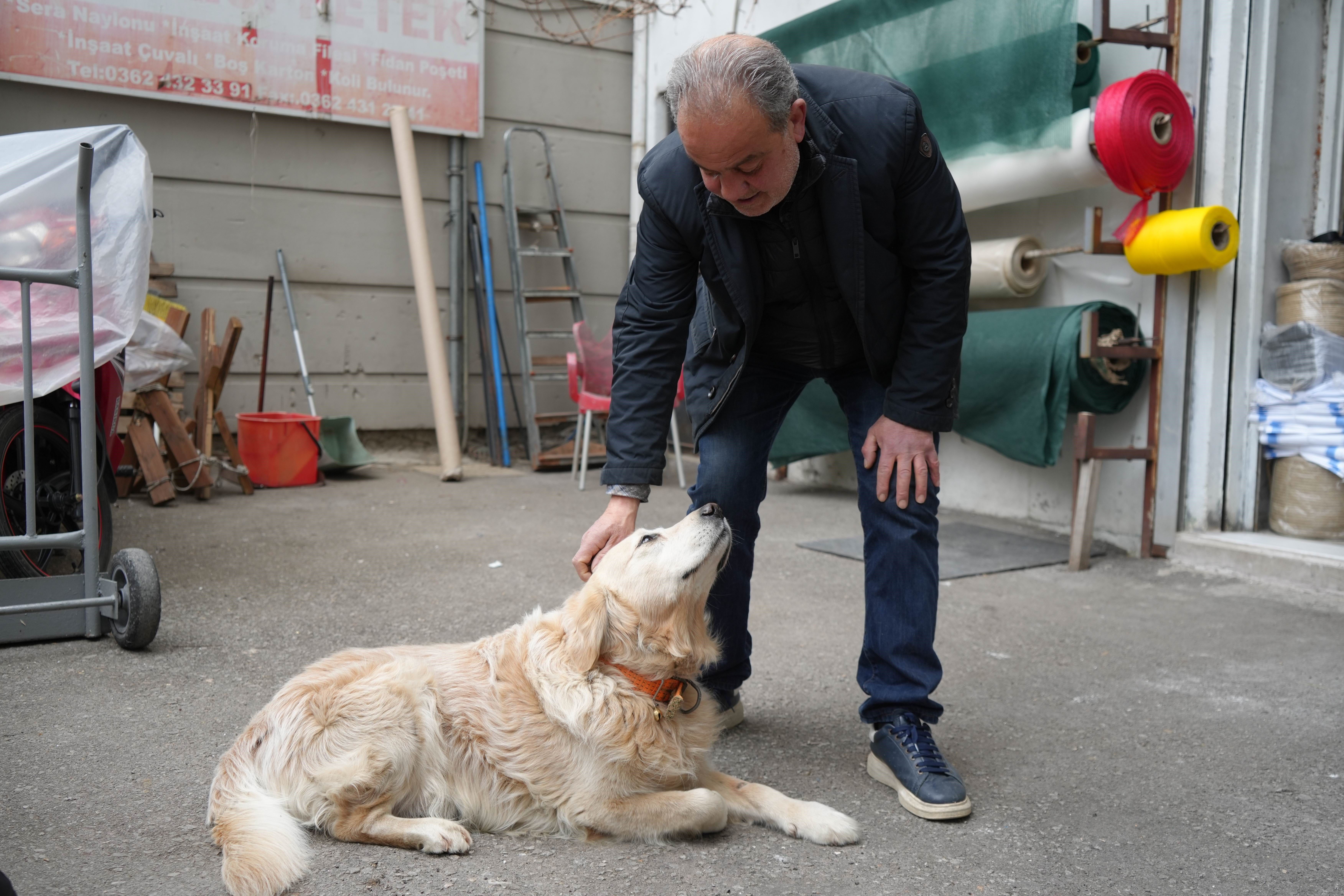 Samsun'da ilginç olay: Köpeği havladı diye 700 bin lira ceza ödeyecek Samsun'da ilginç olay: Köpeği havladı diye 700 bin lira ceza ödeyecek - 3. Resim
