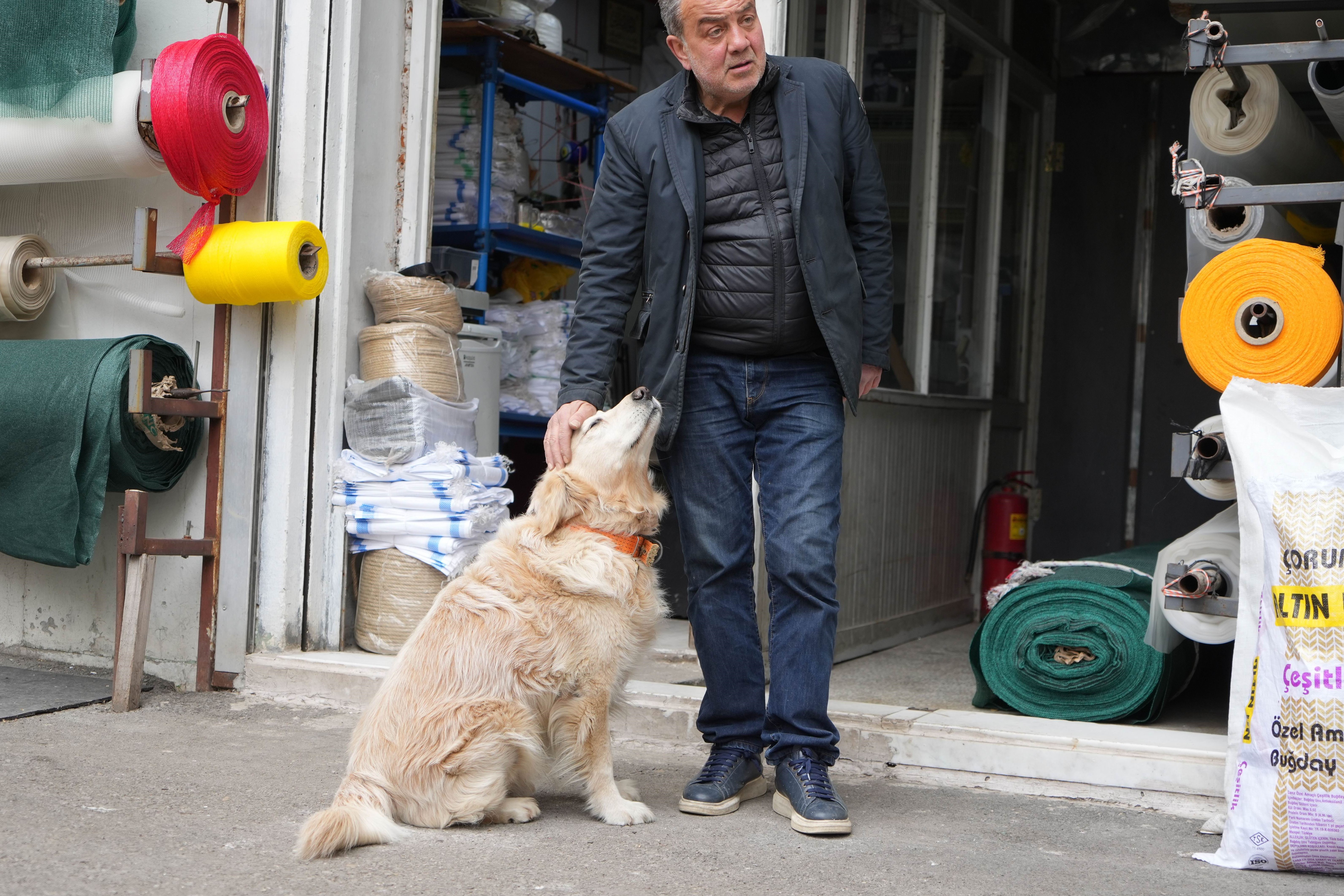 Samsun'da ilginç olay: Köpeği havladı diye 700 bin lira ceza ödeyecek Samsun'da ilginç olay: Köpeği havladı diye 700 bin lira ceza ödeyecek - 4. Resim