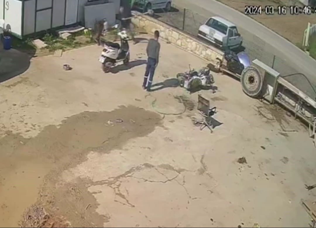 Zincirli köpeğe dakikalarca şiddet uyguladı: Biri acımasızca darp etti, diğeri eli cebinde izledi! - 1. Resim