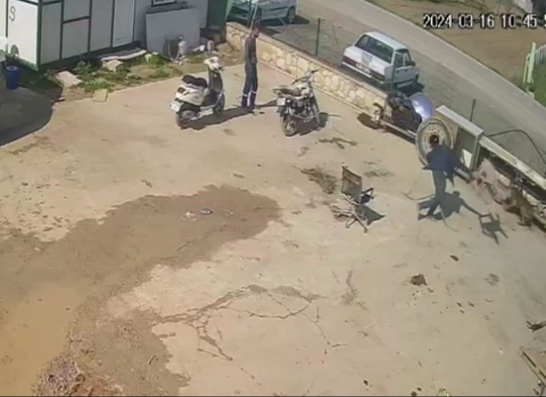 Zincirli köpeğe dakikalarca şiddet uyguladı: Biri acımasızca darp etti, diğeri eli cebinde izledi! - 2. Resim