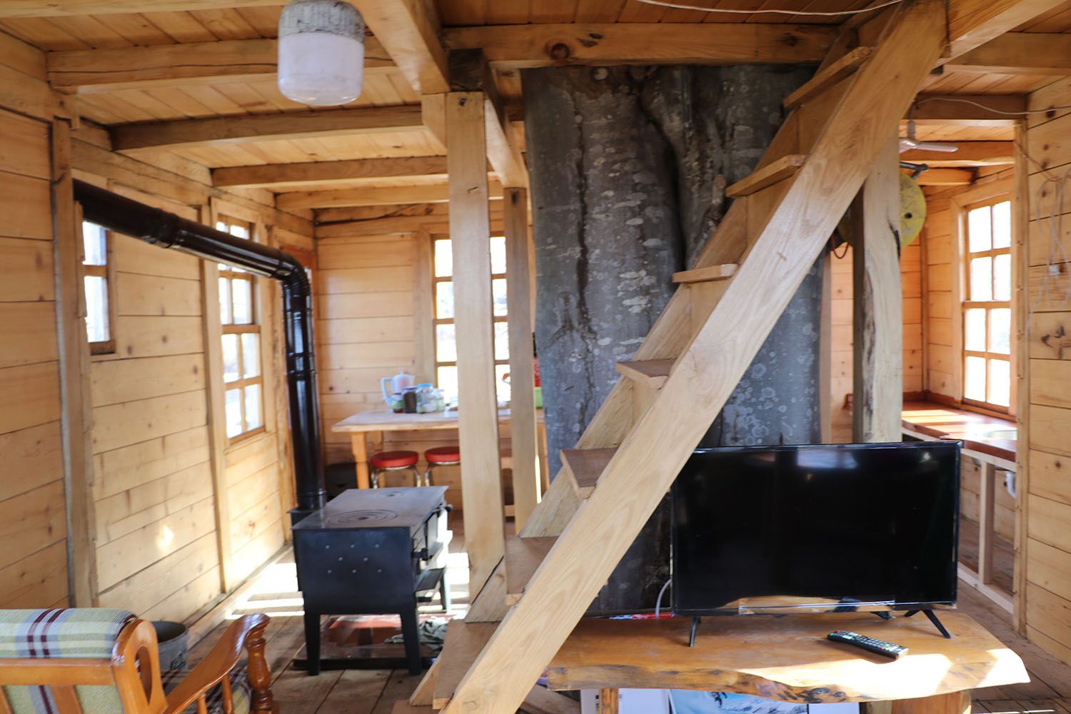 150 yıllık ağacın g&ouml;vdesine 2+1 ev yaptı, i&ccedil;ini g&ouml;renler hayran kaldı! - 5. Resim