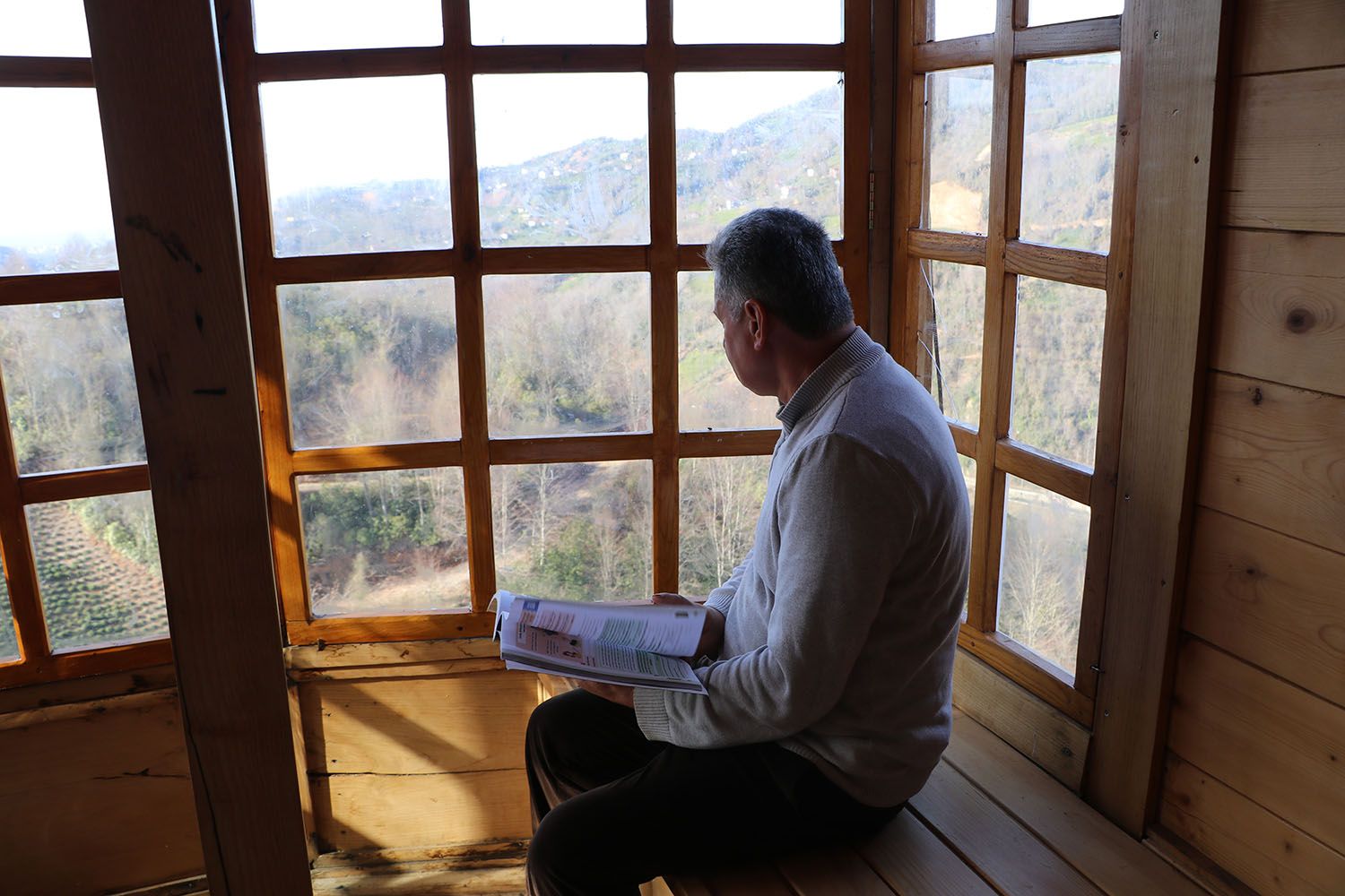 150 yıllık ağacın g&ouml;vdesine 2+1 ev yaptı, i&ccedil;ini g&ouml;renler hayran kaldı! - 3. Resim