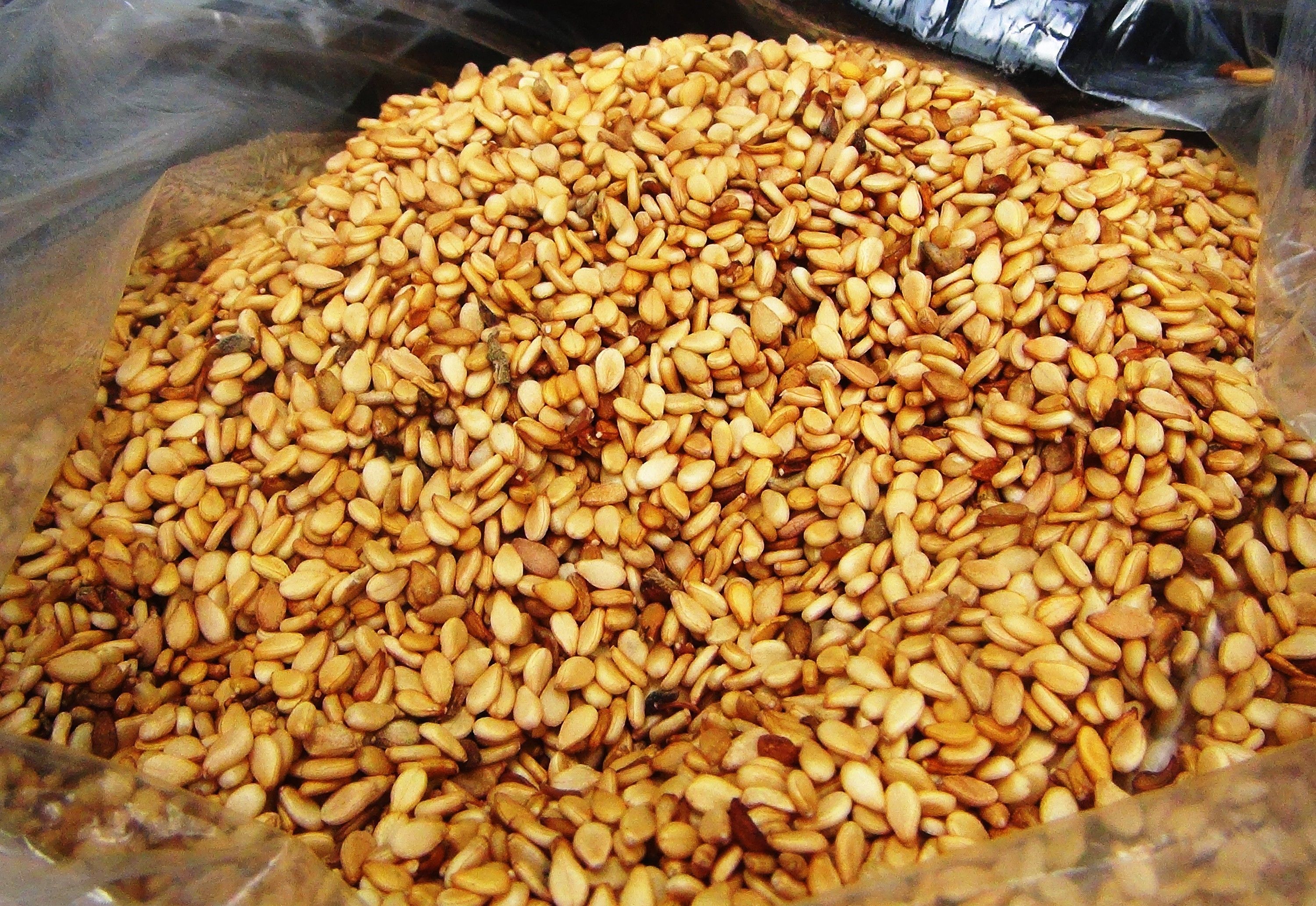 Japonlar ramazan pidesinin vazgeçilmezi Gökova sarı susamına hayran Japonlar ramazan pidesinin vazgeçilmezi Gökova sarı susamına hayran - 2. Resim