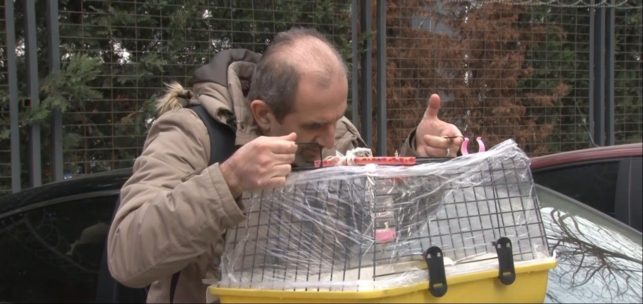 İstanbul'da 12 katlı iş merkezinde korkutan yangın: Hamsterını almadan çıkmadı İstanbul'da 12 katlı iş merkezinde korkutan yangın: Hamsterını almadan çıkmadı - 2. Resim
