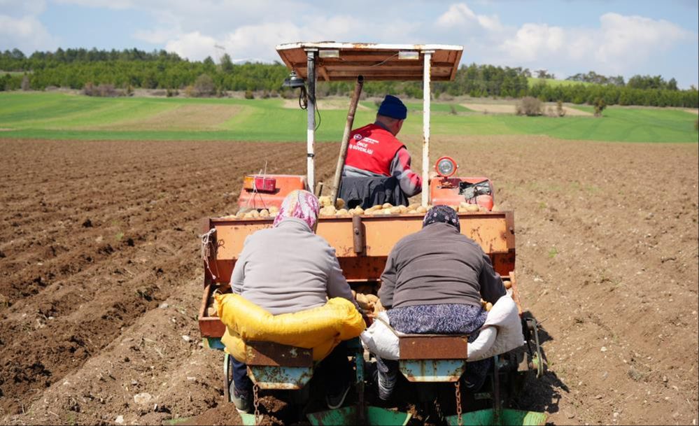 'Patates diyarı'nda ekim başladı! Çiftçiler sezondan umutlu - 1. Resim