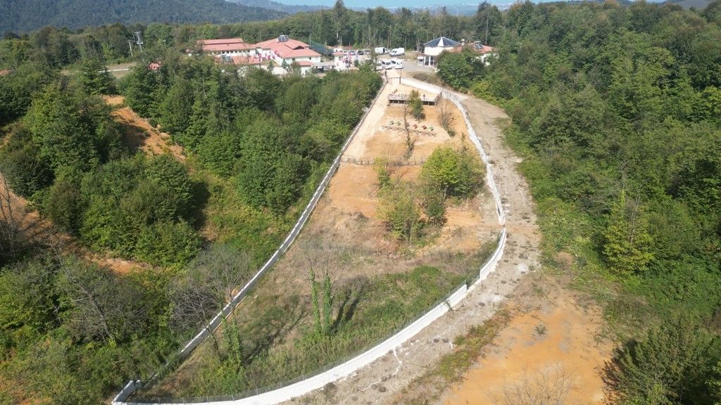'Sokak köpeği' sorununa kökten çözüm! Tüm Türkiye'ye örnek olacak uygulama için harekete geçtiler 'Sokak köpeği' sorununa kökten çözüm! Tüm Türkiye'ye örnek olacak uygulama için harekete geçtiler - 1. Resim