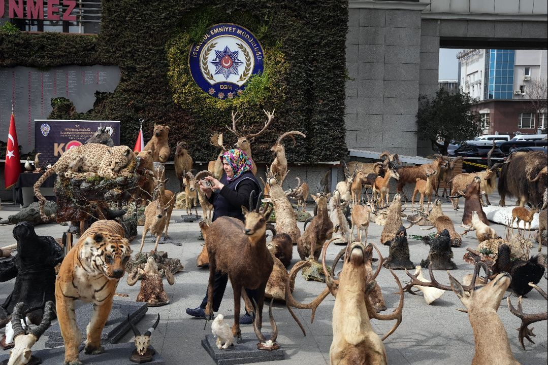 Ali Haydar Üstay kim, ne yaptı? Ali Haydar Üstay kim, ne yaptı? - 1. Resim