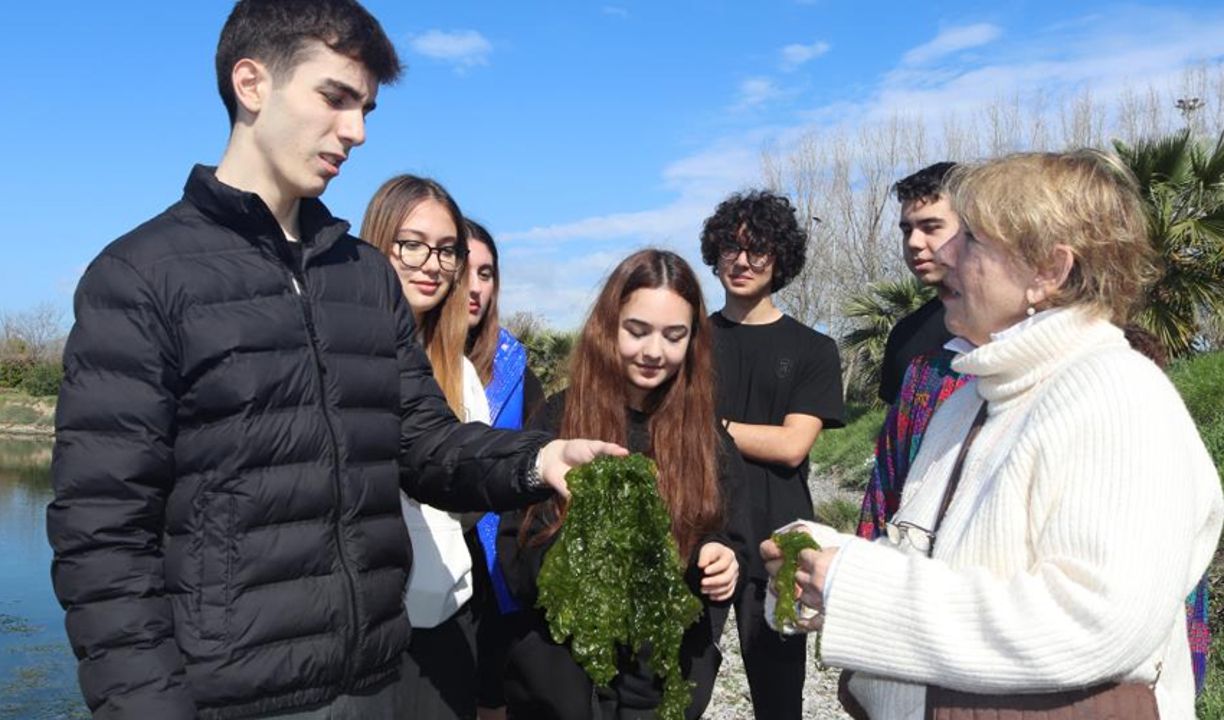 Tavuk ve yumurtaya alternatif! Protein açısından çok zengin, yakında sofralara gelecek - 1. Resim