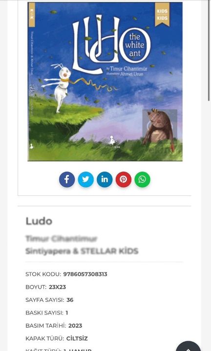 Yazar Eylem Tok ve oğlu hakkında yeni detaylar ortaya çıktı: Bir sonraki durakları İngiltere mi? - 3. Resim