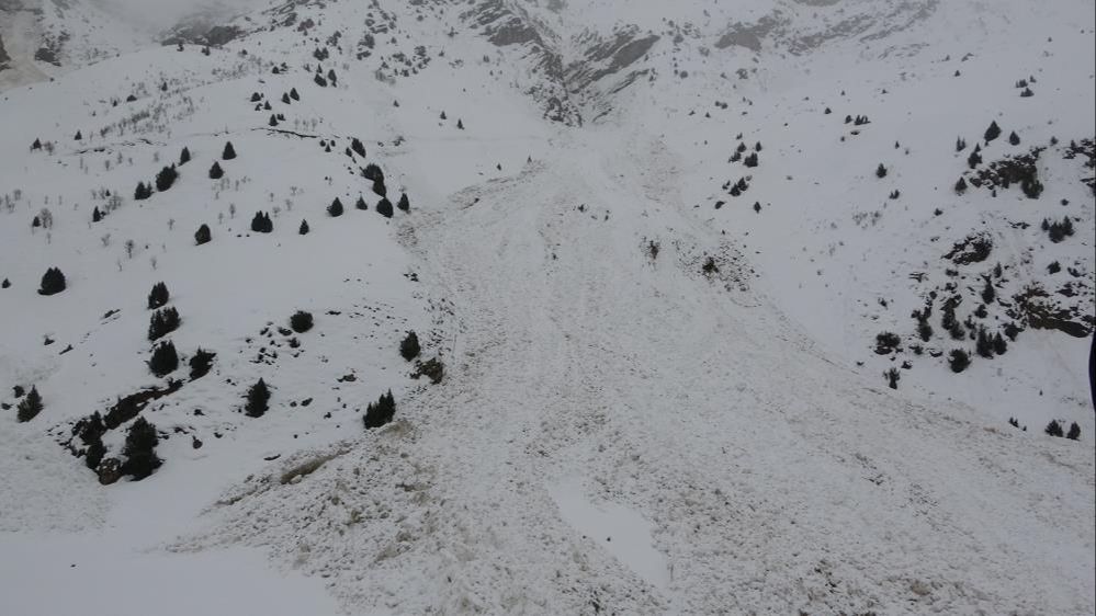 Van'da 10 bölgeye çığ düştü: Ekipler yolları açmak için çalışıyor - 2. Resim