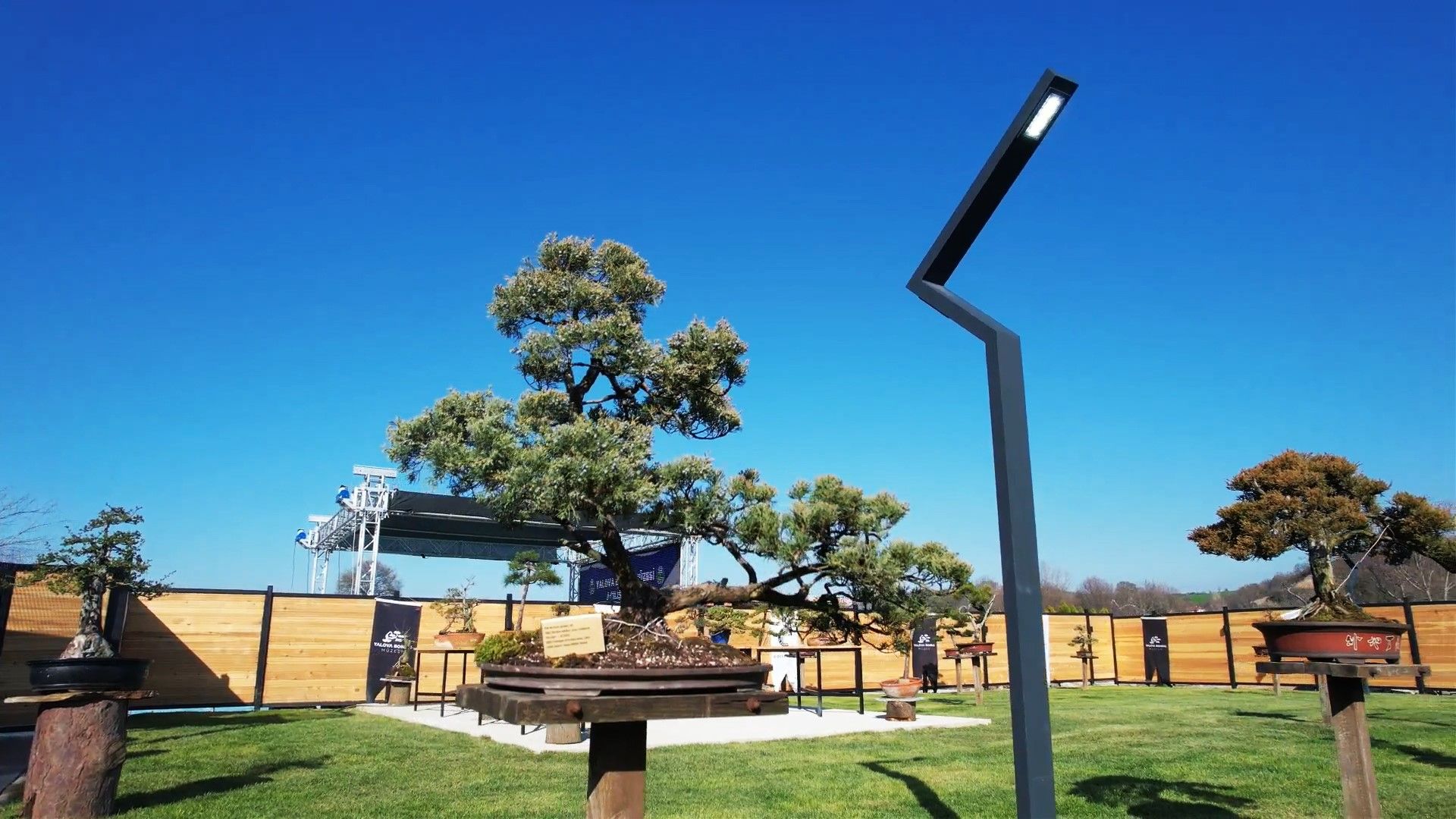 İyi bakılırsa 1000 yıl yaşıyor! Avrupa’nın en büyük, Türkiye'nin ilk bosai müzesi Yalova'da açıldı İyi bakılırsa 800 yıl yaşıyor! Avrupa’nın en büyük, Türkiye'nin ilk bosai müzesi Yalova'da açıldı - 5. Resim