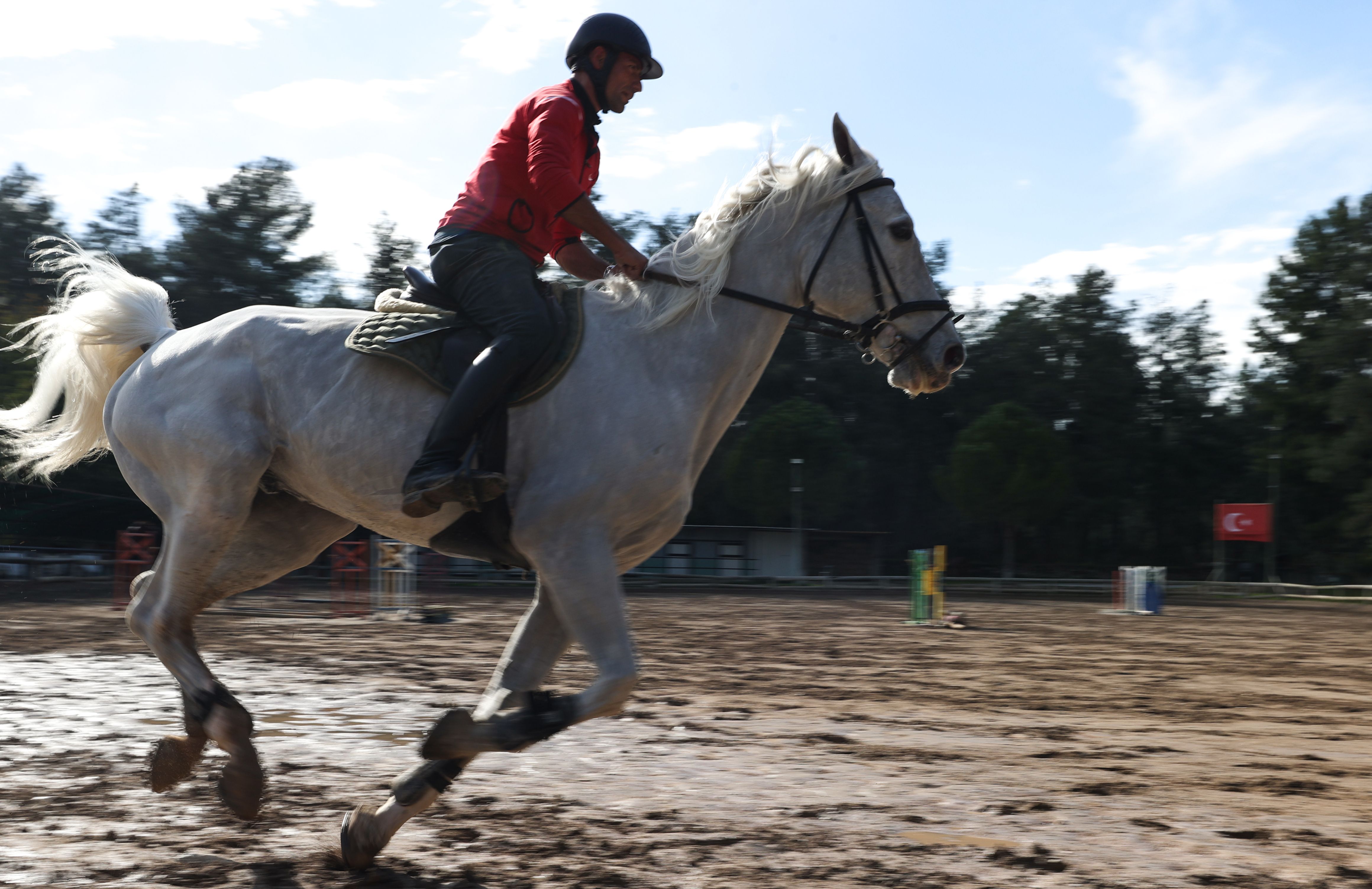 Onların keyfi yerinde! Milyon dolarlık atlara özel bakım - 1. Resim