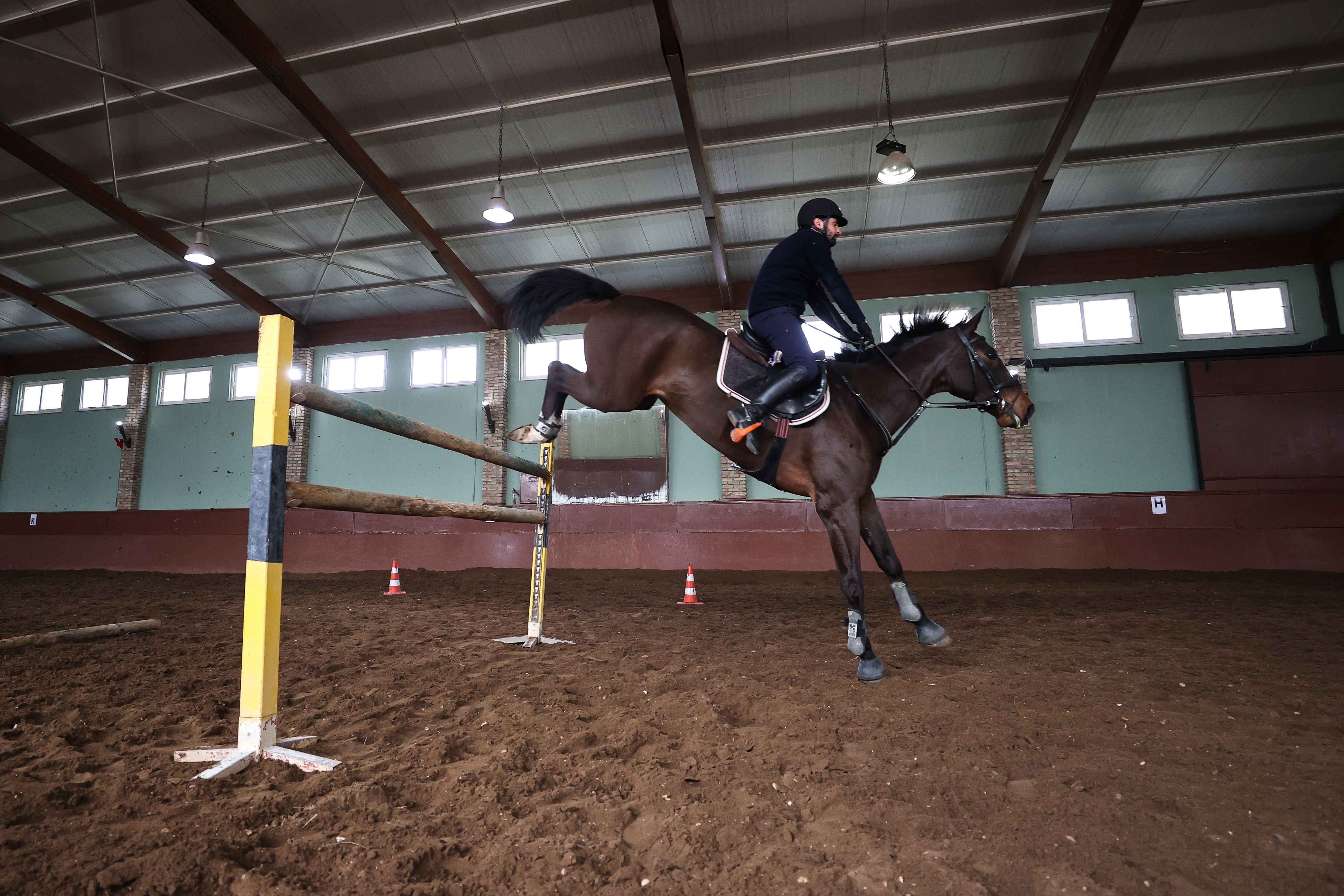 Onların keyfi yerinde! Milyon dolarlık atlara özel bakım - 4. Resim